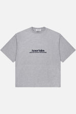 EMBROIDERED T-SHIRT GREY thumb